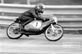 50 cc De Vries