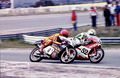 JARAMA  PASADA DE CHAMPI 50 cc17